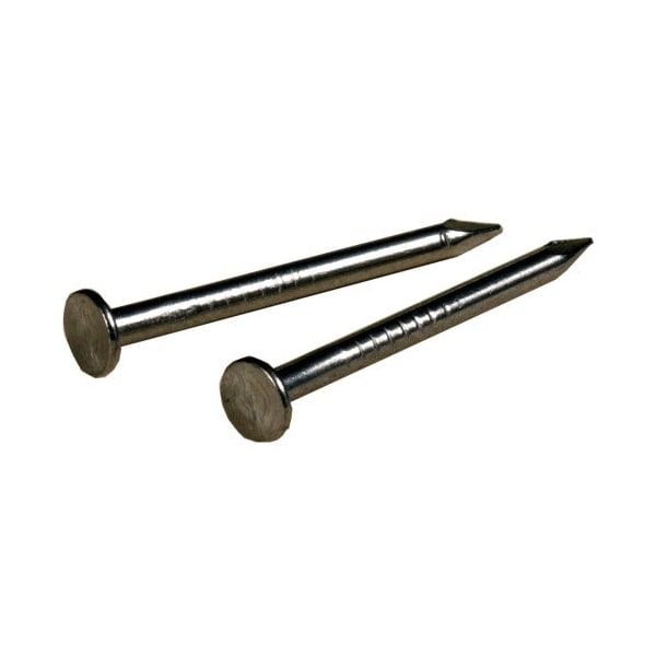 Hillman Common Nail, 1 in L, 2D, Stainless Steel, 17 ga 122532 - main